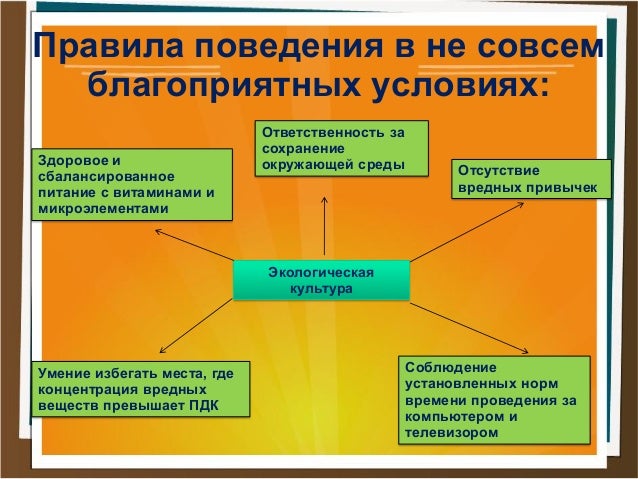 Реферат обеспечение безопасности при неблагоприятной экологической обстановке 9173